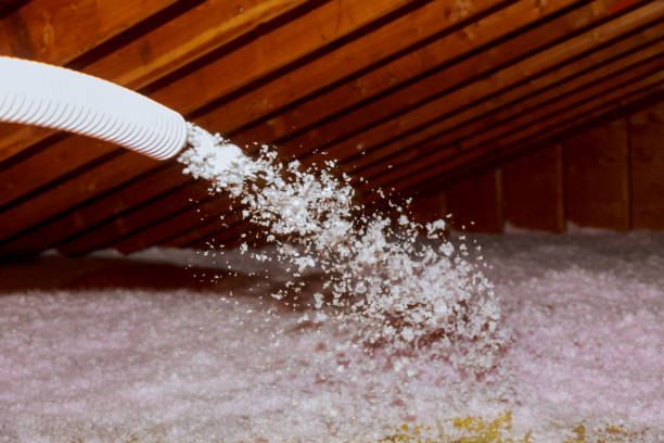 Best Commercial Insulation Services  in Boscobel, WI